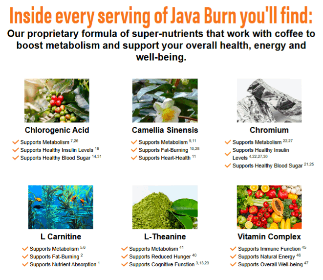 Java Burn®